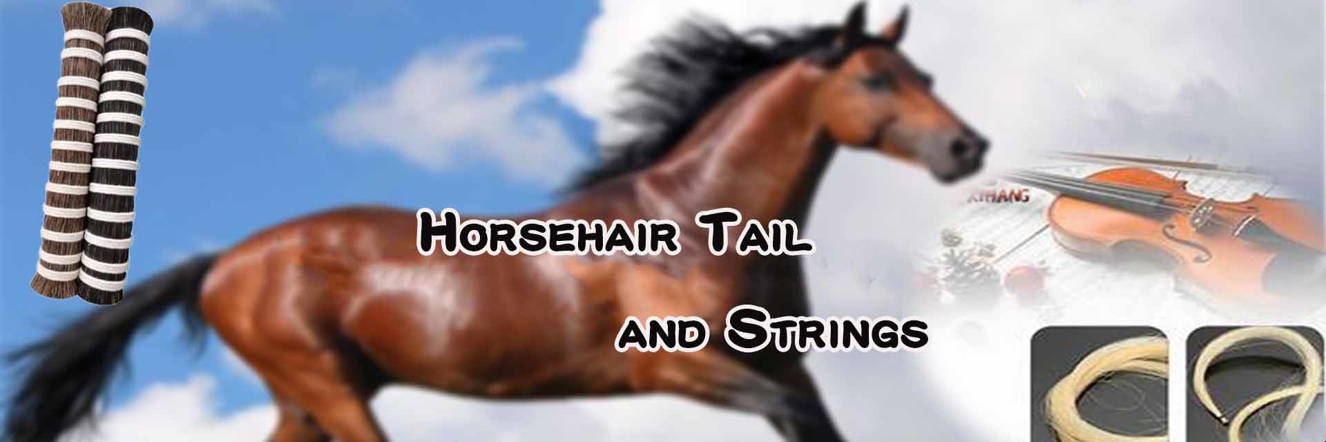 품질 말 머리 갈기 확장 공장